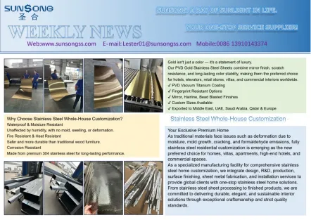 Why Choose Stainless Steel Whole-House Customization?